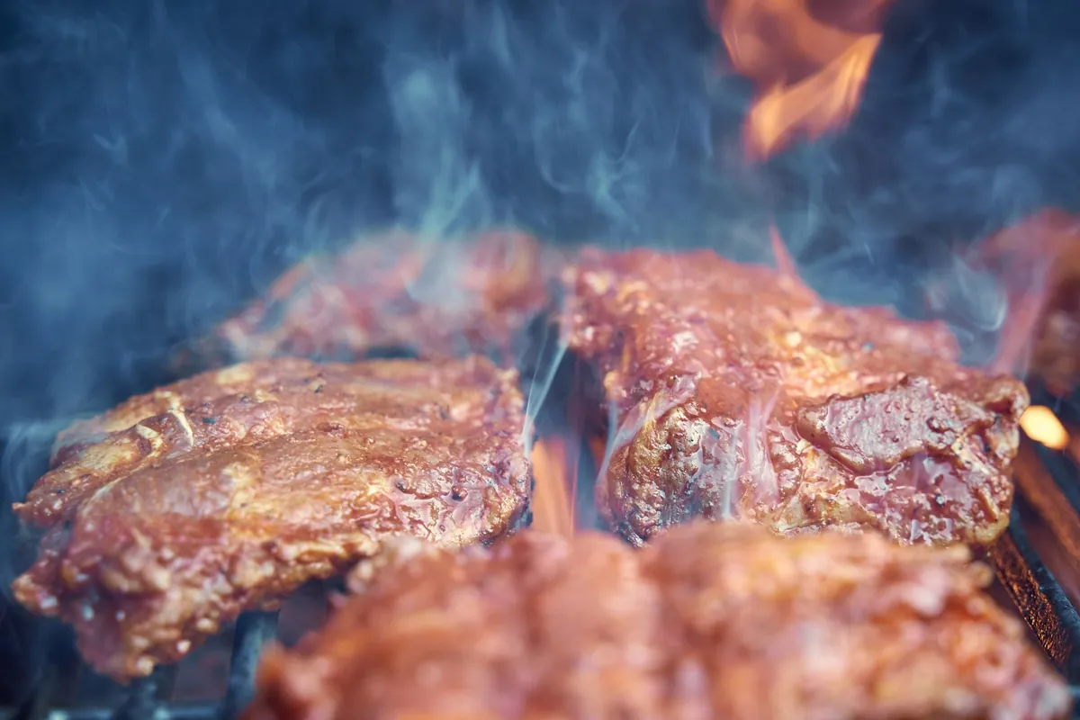 Choisir un barbecue pour son jardin