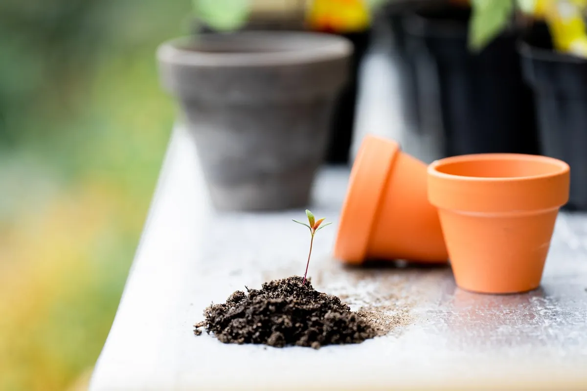 entretenir outils de jardin