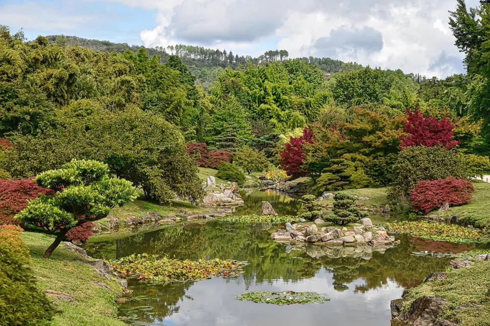 entretenir bassin de jardin