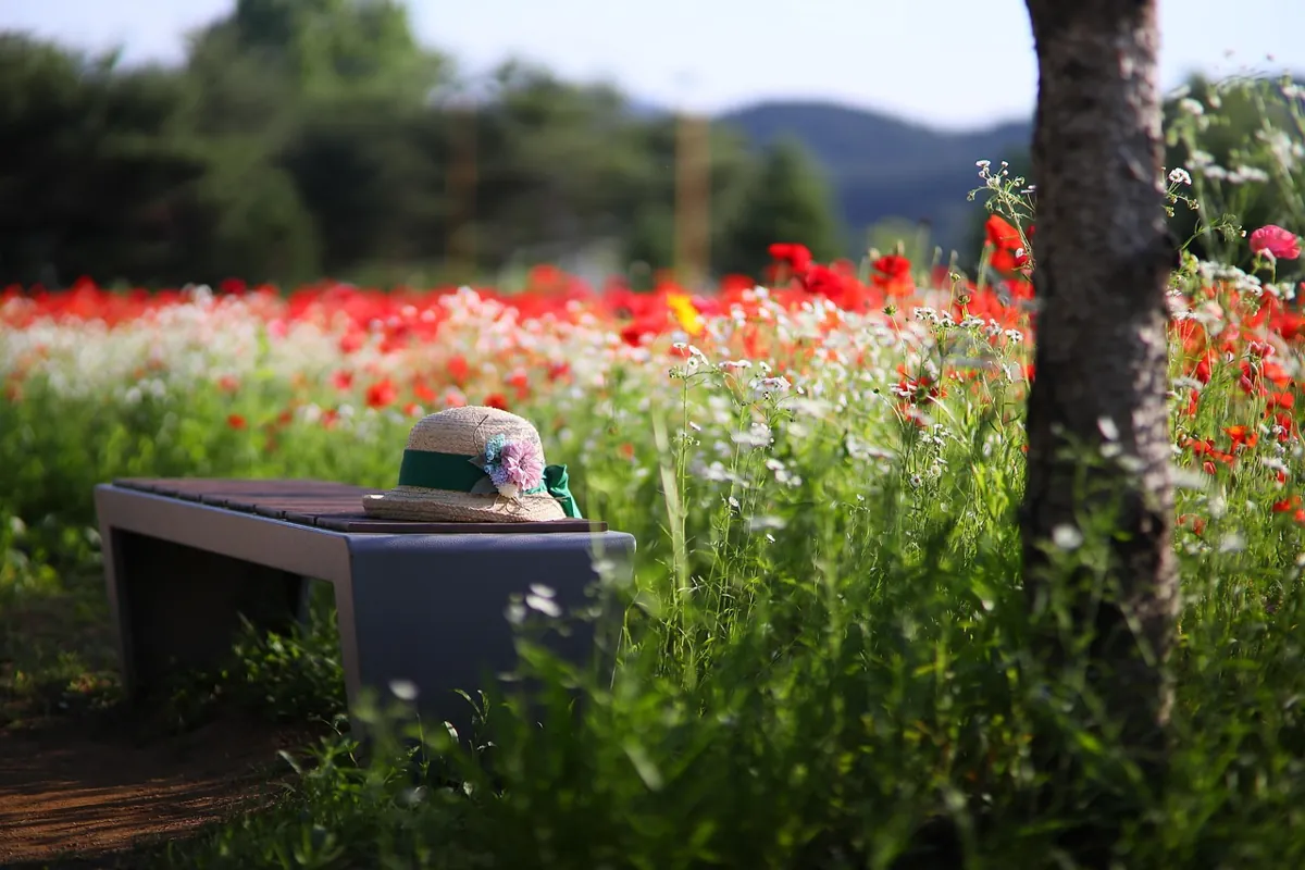 pailler son jardin