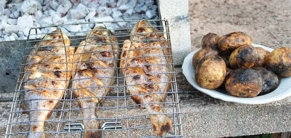 recolter et conserver ses legumes